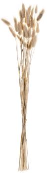 Eglo trockenblume 60cm 428039 beige - Eglo-428039-9008606258642