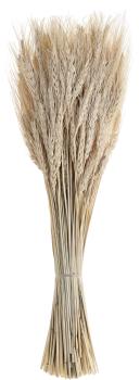 Eglo trockenblume 60cm 428041 beige - Eglo-428041-9008606258659