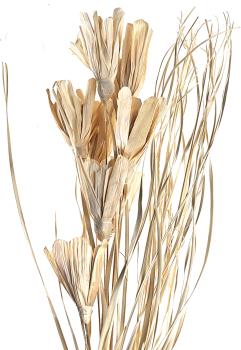 Eglo trockenblume 100cm 428051 beige - Eglo-428051-9008606258741-02.jpg