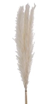 Eglo trockenblumen caraquet 70cm 428074 weiss - Eglo-428074-9008606266821-02.jpg