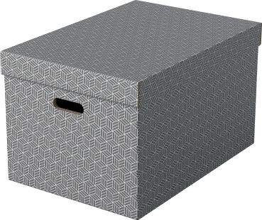 ESSELTE Aufbewahrungsboxen Home L 628287 510x355x305mm, grau 3 Stk