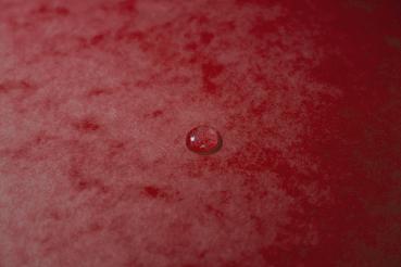 Exacompta gummibandmappe a4+ 55305e rot manila - Exacompta-55305e-3130630553052-04.jpg
