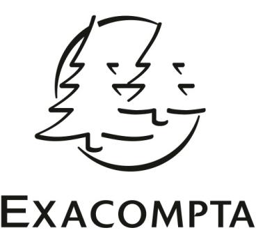 EXACOMPTA Ringbuch Exactive A3 56134E schwarz