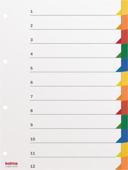 KOLMA Register PVC A4 19.153.20 12-teilig