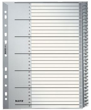 LEITZ Register PP A4 12810000 1-31 grau