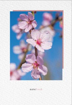 NATUR VERLAG Notizbuch Crushpaper A5 11018N Mandel Foto, dotted