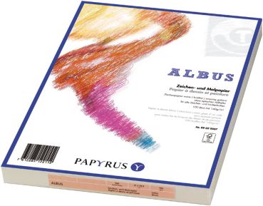 PAPYRUS Zeichenpapier A4 88020007 140g, weiss 100 Blatt