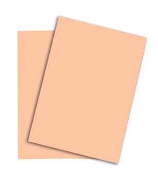 PAPYRUS Rainbow Papier FSC A4 88042498 80g, lachs 500 Blatt