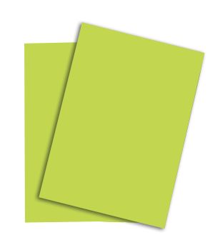 PAPYRUS Rainbow Papier FSC A4 88042608 leuchtend grün, 80g 500 Blatt