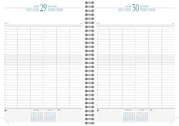 QUO-VADIS Time 29W 2024 29612E ass. 1T/S Wire-O, A4