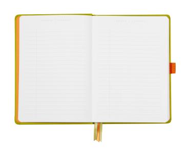 RHODIA Goalbook Notizbuch A5 118575C Hardcover anisgrün 240 S.