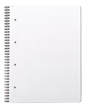 RHODIA Greenbook Notizbuch A4 119912C kariert 90g 160 S.