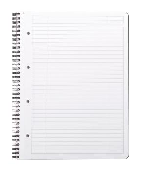 RHODIA Greenbook Notizbuch A4 119914C liniert 90g 160 S.