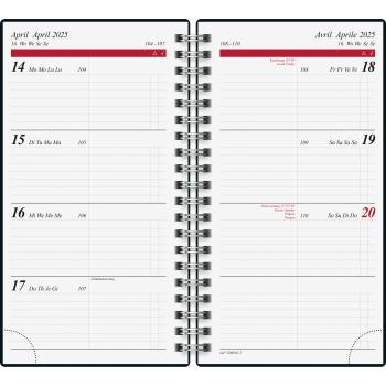 RIDOIDE Taschenagenda Timing 2 2025 014104015.25 1W/2S Confetti ML 9.3x17.2cm