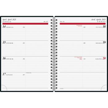 RIDOIDE Wochenagenda Timing 1 2025 021804015.25 1W/2S Confetti ML 14.8x21cm