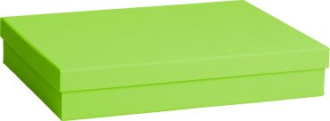 STEWO Geschenkbox One Colour 2551782893 grün hell 24x33x6cm