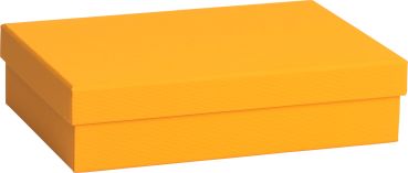 STEWO Geschenkbox One Colour 2551784592 orange dunkel 16.5x24x6cm