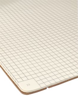 TRANSOTYPE senseBook FLAP A6 75010602 kariert, S, 135 Seiten beige