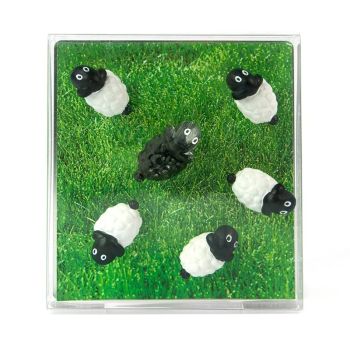 TRENDFORM Magnete SHEEP FA3737 6er Set assortiert