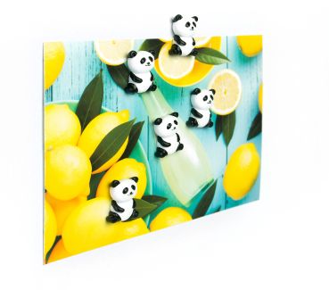 TRENDFORM Magnete PANDA FA4573 schwarz/weiss 5 Stück