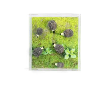 Trendform magnete hedgehog fa4588 6er set grau - Trendform-fa4588-7640169365904-02.jpg