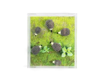 TRENDFORM Magnete HEDGEHOG FA4588 6er Set grau