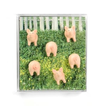 TRENDFORM Magnete PIGGY FA4593 6er Set assortiert