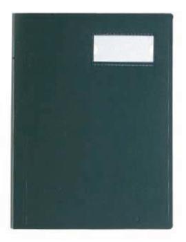 VIQUEL Sichtbuch A4 508003-04 grün