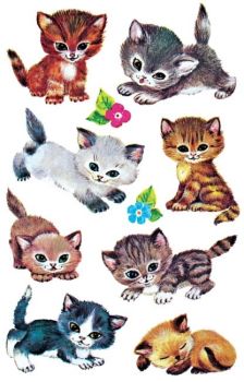 Z-DESIGN Sticker Kids 4346 Katzen 3 Stück