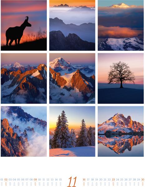 ACKERMANN Bildkalender 2025 2585 Inspiration Natur 50x66cm