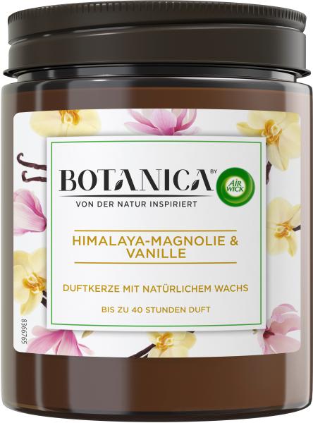 AIR WICK Botanica Duftkerze 205g 3109767 Magnolie & Vanille