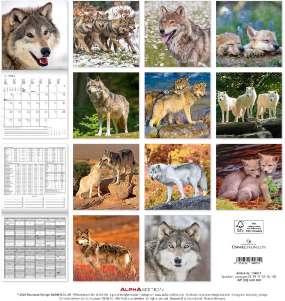 ALPHA EDITION Bildkalender 2025 104071 Wölfe 30x30cm