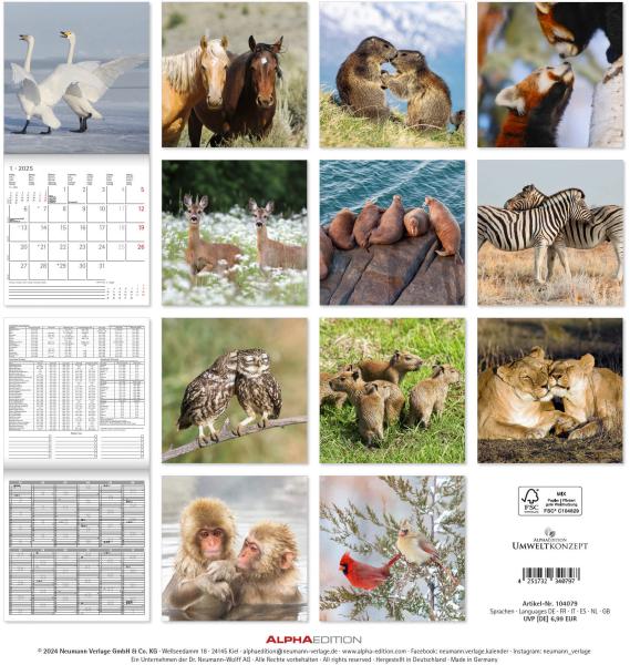 ALPHA EDITION Bildkalender 2025 104079 Beste Freunde ML 30x30cm