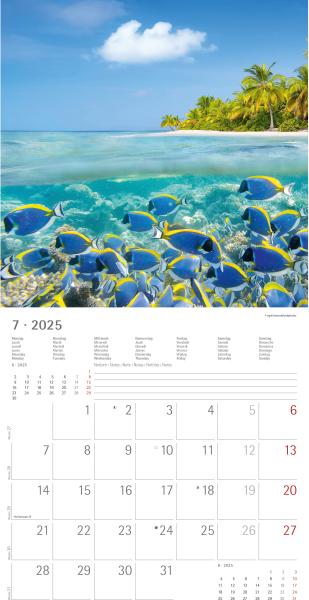 ALPHA EDITION Bildkalender 2025 104087 Summer Dreams ML 30x30cm