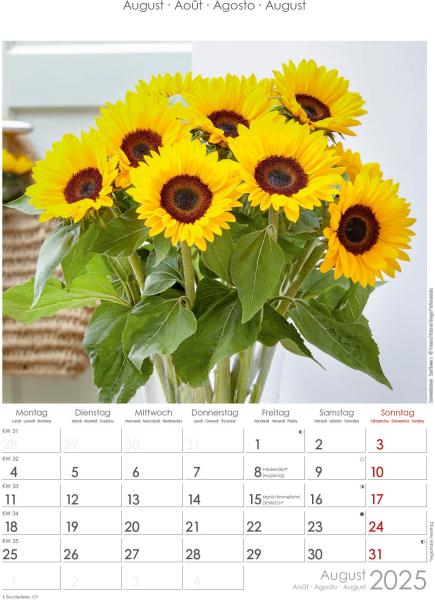 ALPHA EDITION Bildkalender 2025 104100 Blumen 23.7x34cm