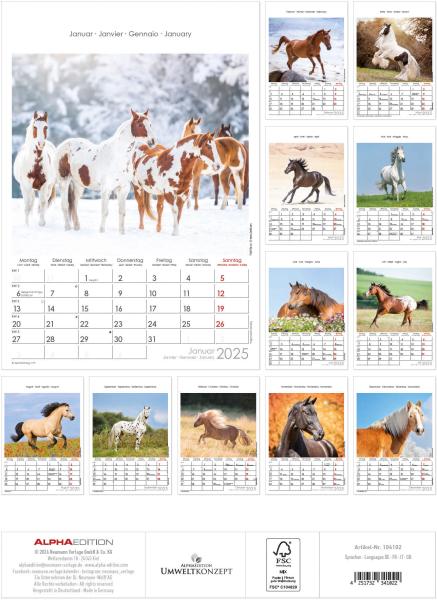 ALPHA EDITION Bildkalender 2025 104102 Pferde 23.7x34cm