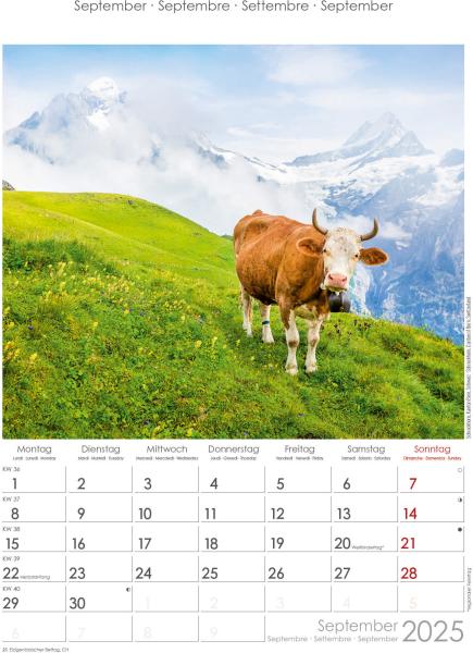 ALPHA EDITION Bildkalender 2025 104109 Alpen 23.7x34cm