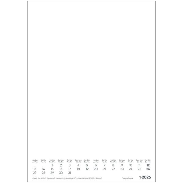 ALPHA EDITION Foto-Bastellkalender 2025 104191 1M/1S weiss ML 21x29.7cm