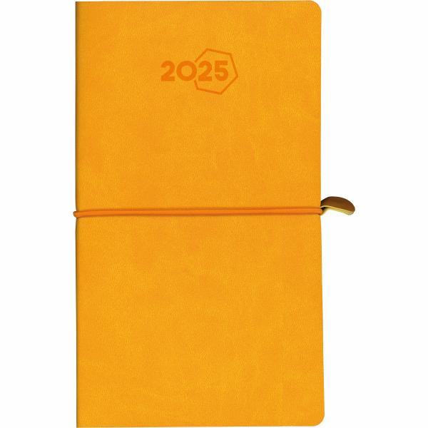 AURORA Agenda Visuplan Tesoro 2025 2016 1W/2S ass. ML 9x16.5cm