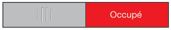 BEREC Türschild 37,4x152mm 314.088 Alu, Libre-Occupé