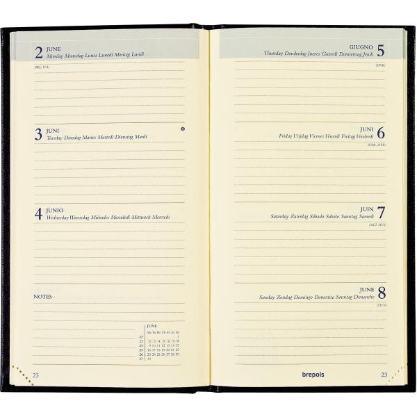 BREPOLS Agenda Interplan Sunrise 2025 73602759960 1W/2S ass. ML 9x16cm