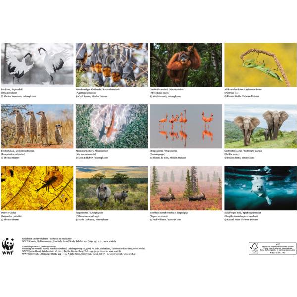 CALENDARIA Bildkalender 2025 45754326 WWF Wildlife ML 34x48cm