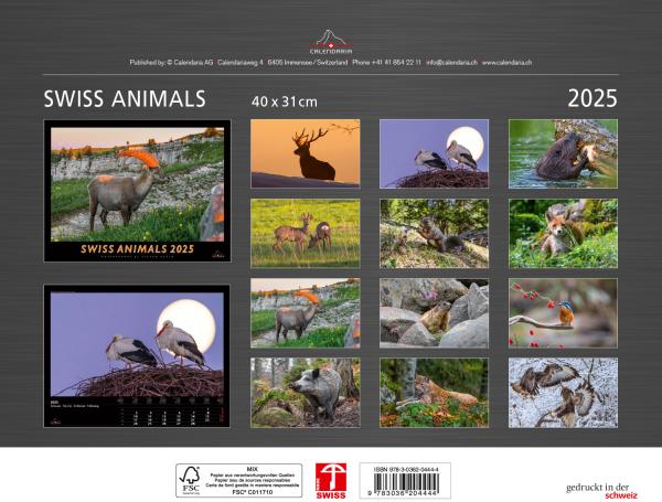 CALENDARIA Bildkalender 2025 783036204444 Swiss Animals 40x31cm