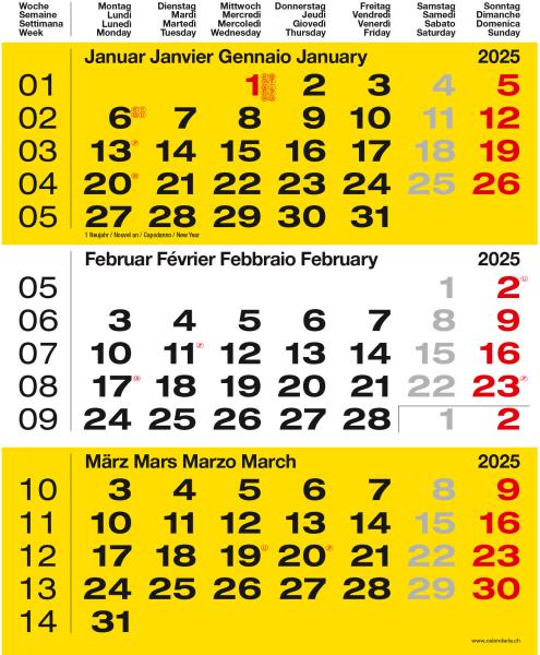 CALENDARIA 3-Monats-Wandkalender 2025 783036204598 gelb 31x40cm