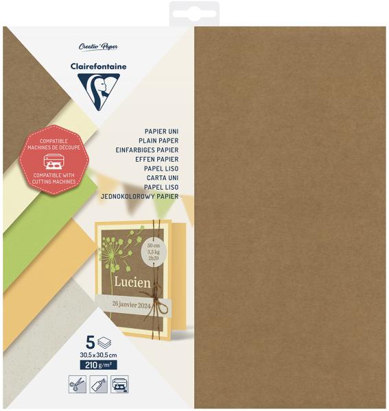 CLAIREFONTAINE Schneidepapier 30.5x30.5cm 95739C einfarbig, 210g 5 Blatt