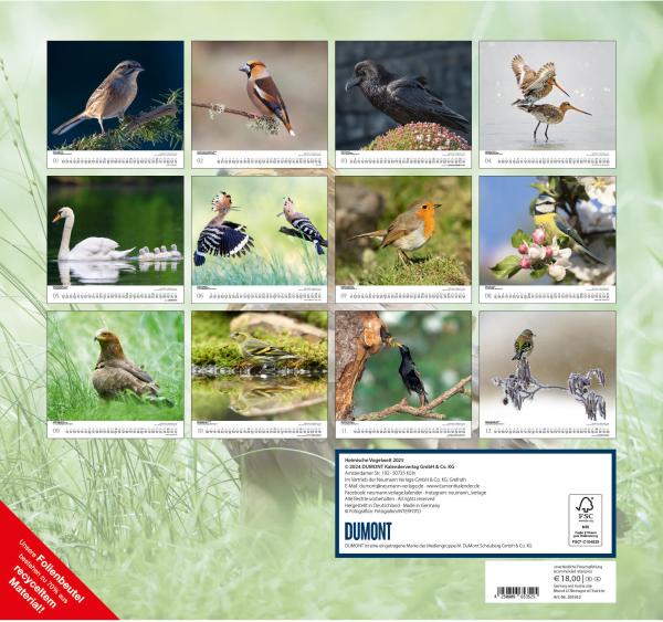 DUMONT Bildkalender 2025 205352 Heimische Vogelwelt 38x35.5cm