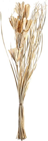 Eglo trockenblume 100cm 428051 beige - Eglo-428051-9008606258741