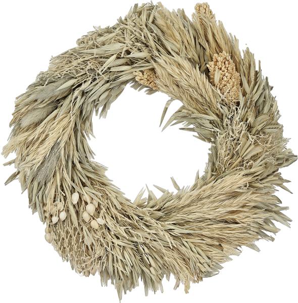 Eglo trockenblume Ø25cm 428053 beige - Eglo-428053-9008606258765