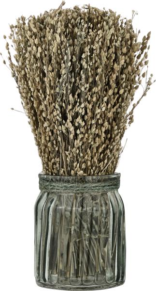 Eglo trockenblumen caraq 18cm 428077 braun, mit vase - Eglo-428077-9008606266852