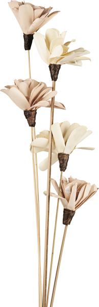 Eglo trockenblume senneterre 428168 beige - Eglo-428168-9008606282173-02.jpg